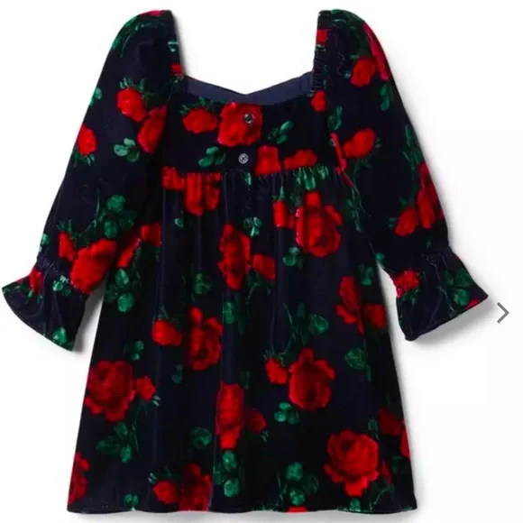 Janie and Jack velvet Navy w/ Red Rose Dress size 5 NWOT - Picture 3 of 7